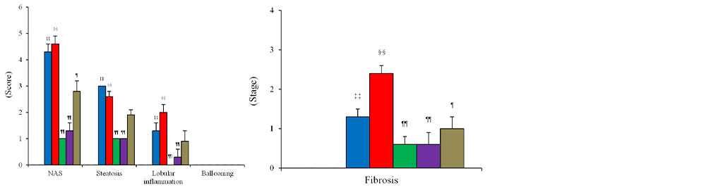 Background data of C57BL mice fed with choline-deficient methionine-reduced high-fat diet(CDAHFD) for 12 weeks.