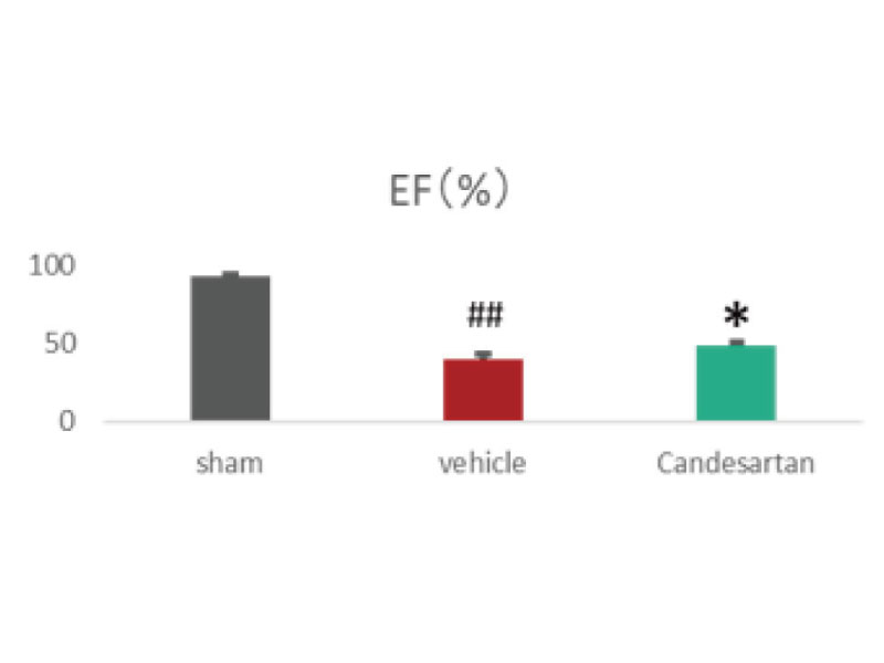  Ejection fraction 28 days after repetitive administration of candesartan cilexetil since next day of model preparation.