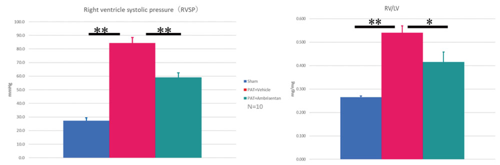 Right ventricular pressure and weight ratio of right ventricle 21 days after repetitive administration of ambrisentan since next day of model preparation.