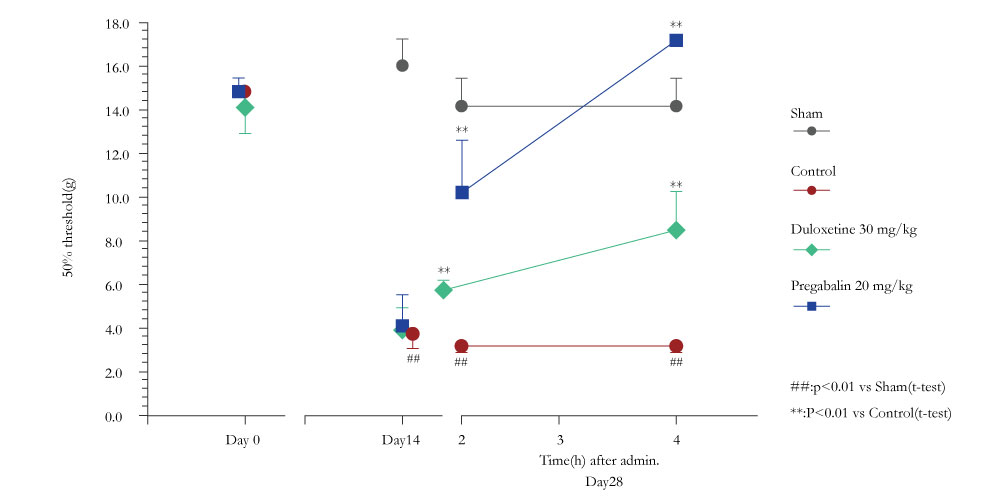 Von Frey test: Effects of Duloxetine and Pregabalin on STZ-induced diabetic neuropathic pain (DNP) in rats